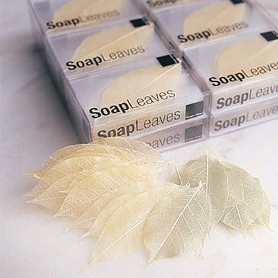 soap leaves