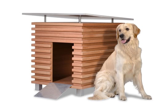 In the Doghouse: 7 Funky, Mod Pet Furniture Ideas