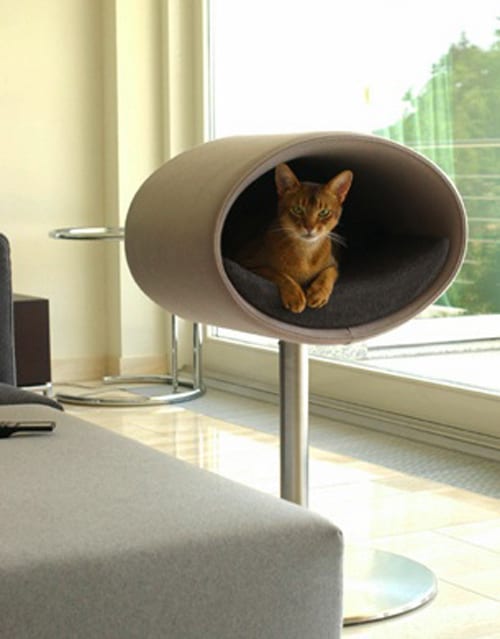 modern cat stand