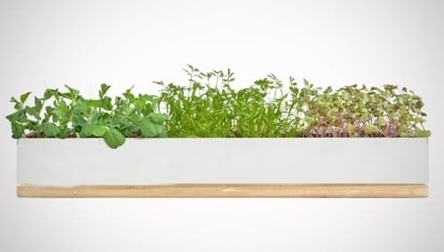 windowsill grow box