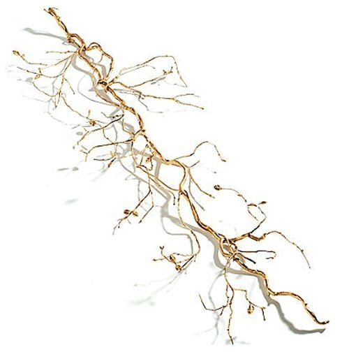 gold manzanita branch