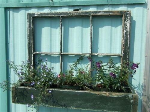 window planter