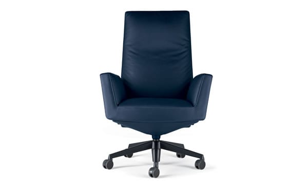 blue leather executive seat