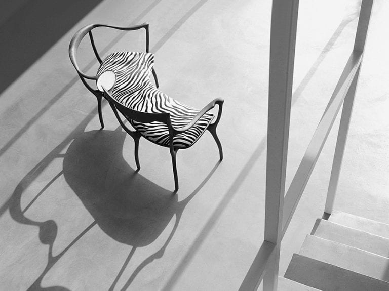 zebra pattern accent furniture