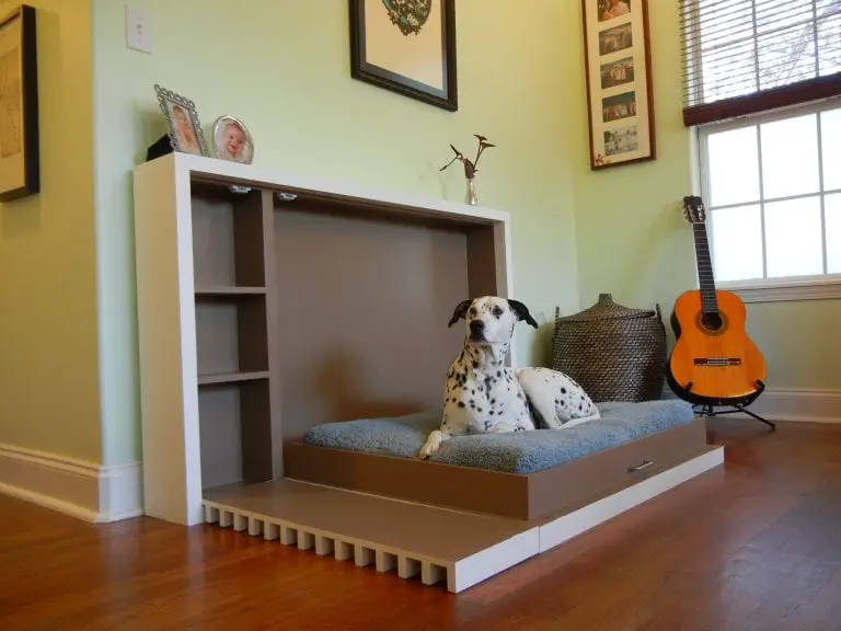 Dog bed designs