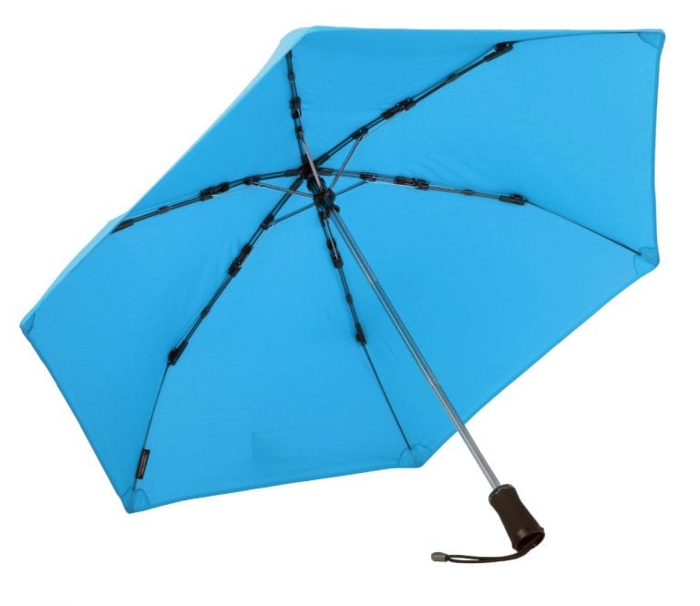 Blue Hedgehog Umbrella