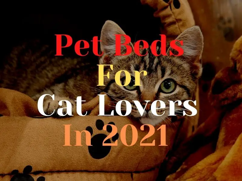 Hepper Pod Super Cozy Pet Bed for Cats In 2021